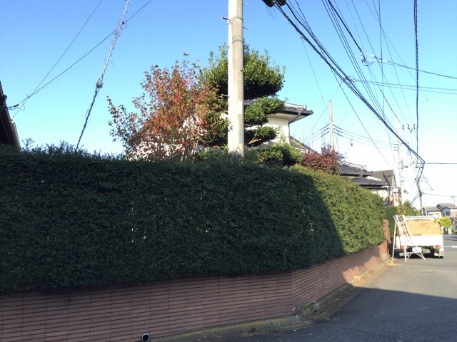 アップロードファイル 950-1.jpeg