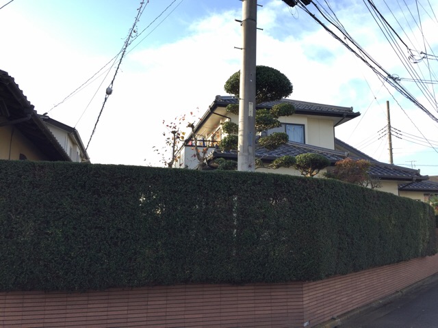 アップロードファイル 950-2.jpeg