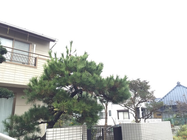 アップロードファイル 952-1.jpeg