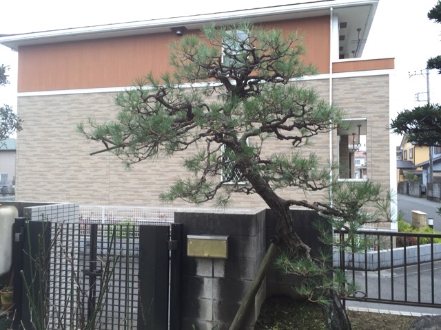 アップロードファイル 952-2.jpeg